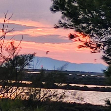 2 Chambres Cote Plage Et Aeroport Hyeres Bagian luar foto