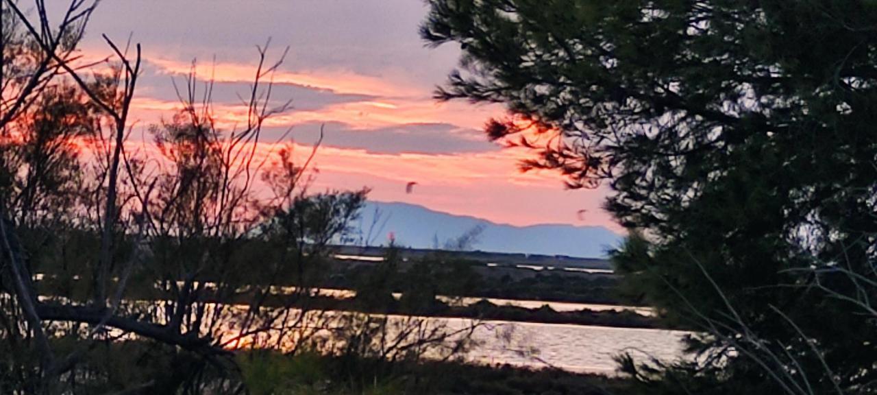 2 Chambres Cote Plage Et Aeroport Hyeres Bagian luar foto